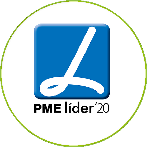 Estatuto PME Líder, 2020