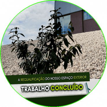 Requalificação do Nosso Espaço Exterior Concluída🍃
